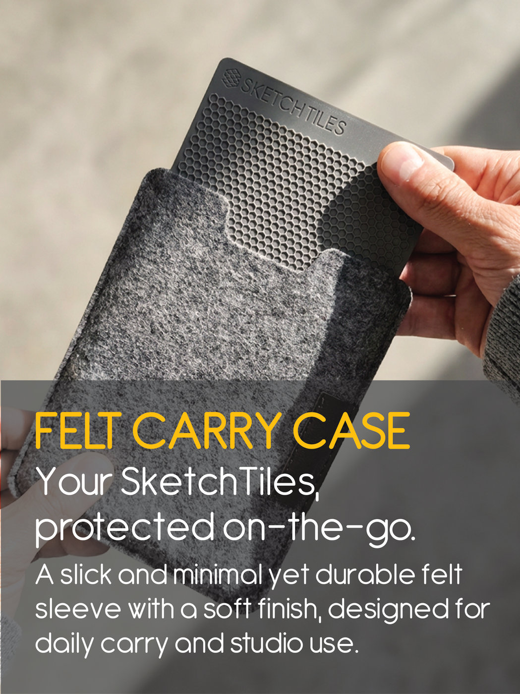 Felt Carry Case: product photo 2